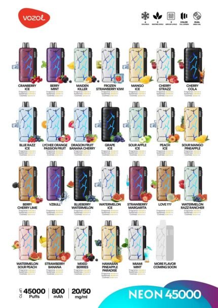 Disposable E-Cigarette Vozol Neon 45,000 Puffs Vape-10PS