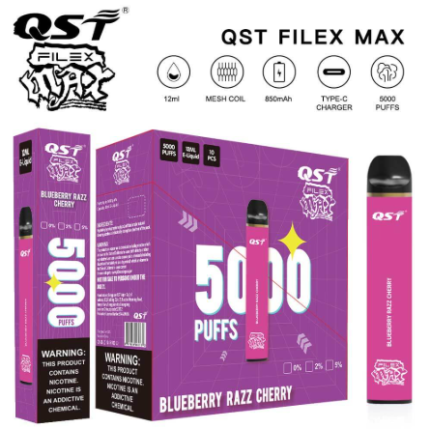 High Grade QST Filex Max 5000 Puffs Disposable E-Cigarette -100PS