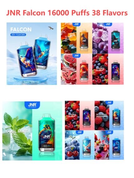 Falcon 16000 Puffs Big Cloud Vape 850mAh Rechargeable 22ml Leak‑Proof Disposable E‑cigarette-50PS
